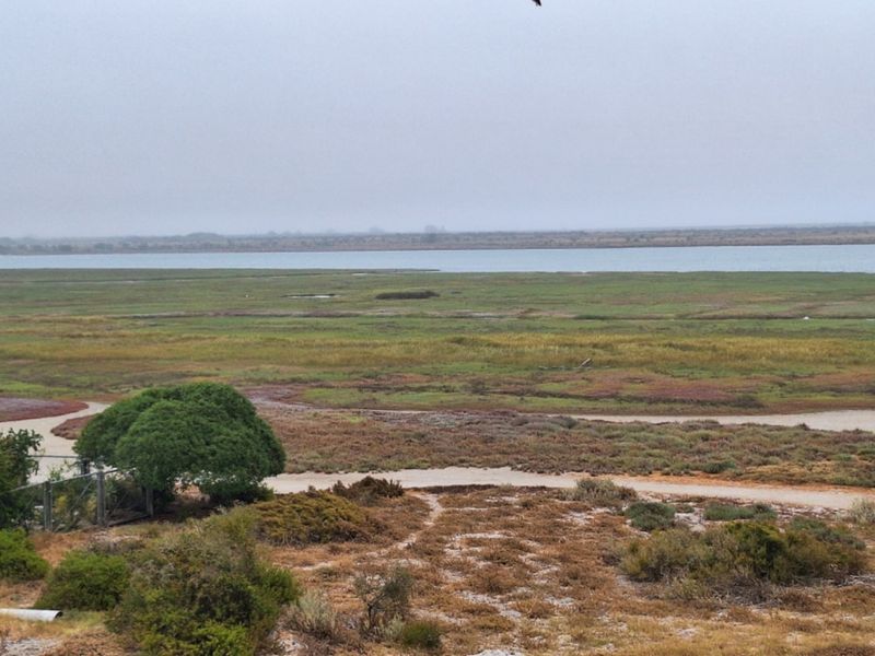 A scenic view overlooking a natural wetland landscape with a distant body of water.