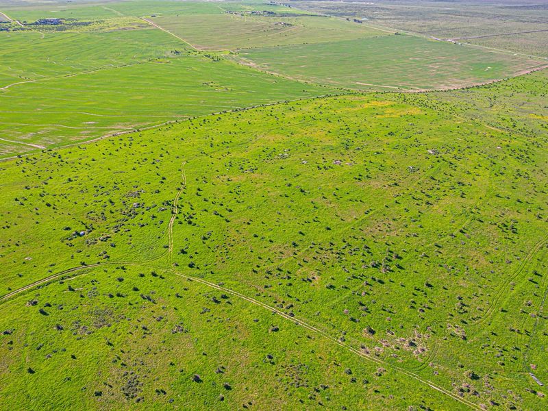Welgedaan Estate – Development Opportunity - Photo 7