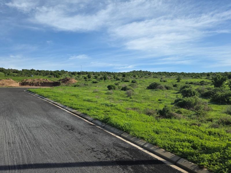 A view of a vacant residential plot featuring a newly paved road with concrete curbing and natural green vegetation.