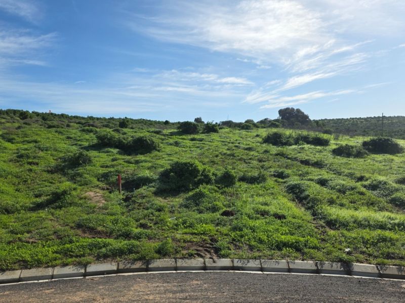 A vacant residential plot featuring natural vegetation, bordered by a paved asphalt road and concrete curbing.
