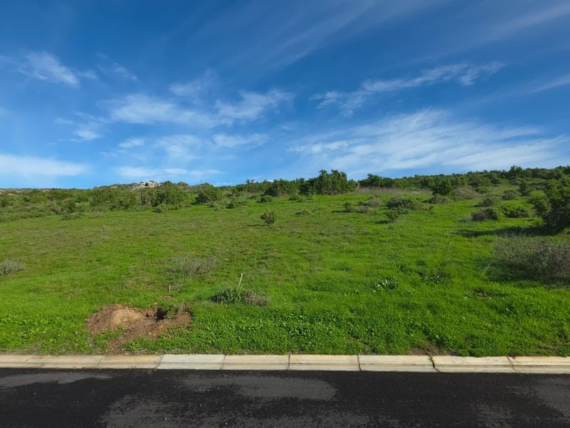 A view of a vacant residential plot featuring a gentle slope, natural vegetation, and direct access to a paved asphalt road with concrete curbing.