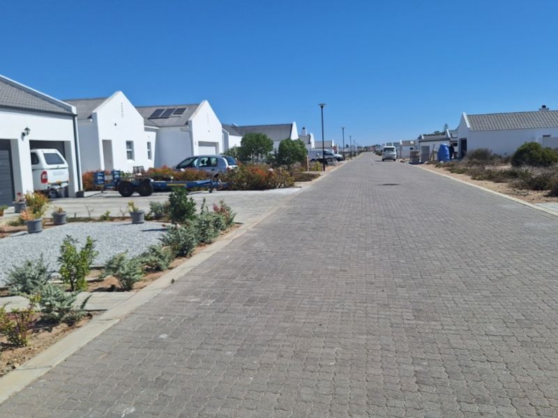 A view of a residential street featuring modern white houses with paved driveways and neat landscaping under a clear blue sky.