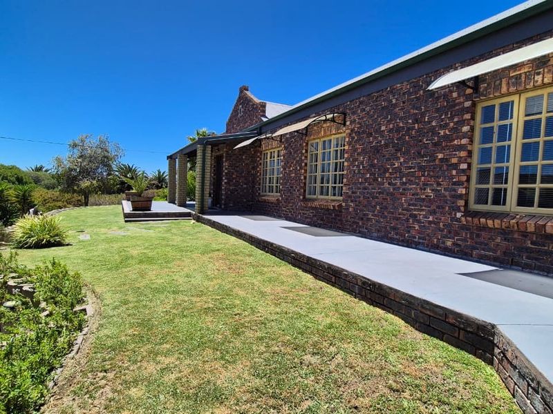 A well-maintained rear exterior view of a face brick house featuring a concrete patio, metal window frames, and established garden surroundings.