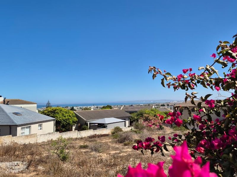 A scenic elevated view overlooking the surrounding residential neighborhood and distant coastline, framed by vibrant bougainvillea in the foreground.