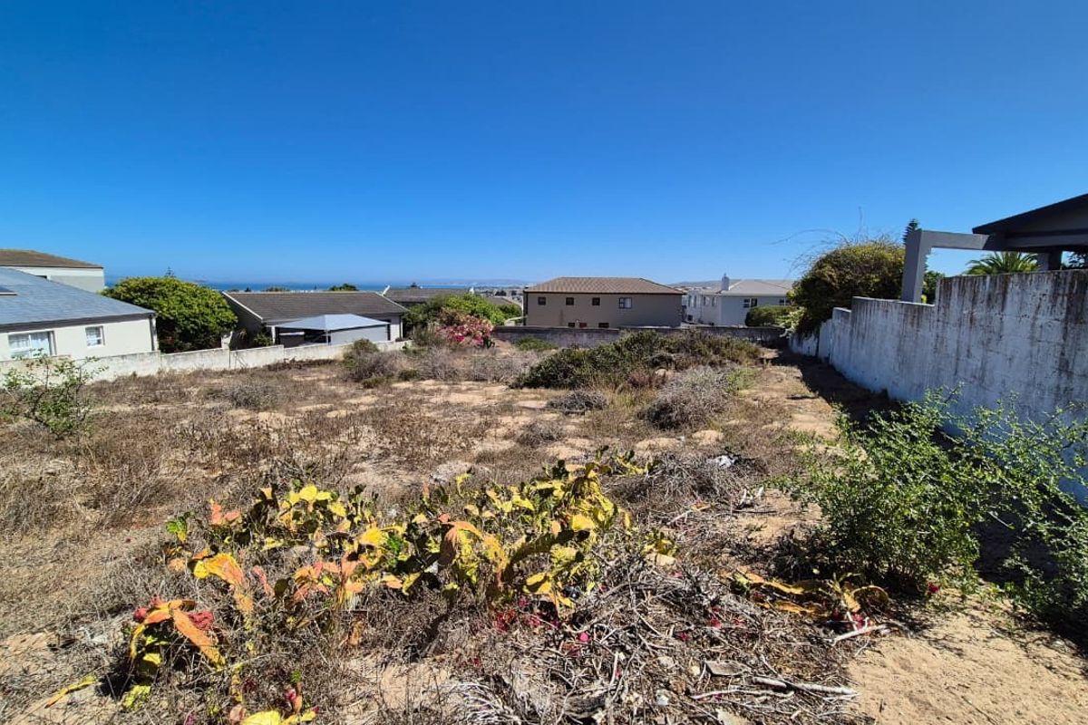 A vacant residential plot featuring a boundary wall and natural vegetation, offering potential for development in a established neighborhood.
