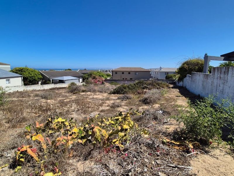 A vacant residential plot featuring a boundary wall and natural vegetation, offering potential for development in a established neighborhood.