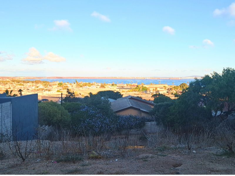 A scenic elevated view overlooking a residential neighborhood with a clear coastal horizon in the distance.