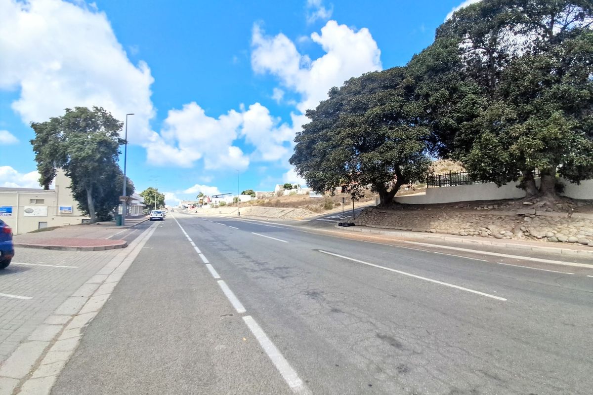 A view of the street frontage showing the asphalt road, paved sidewalk, and established trees along the property boundary.