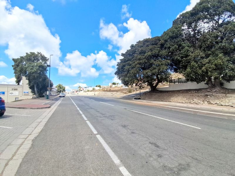 A view of the street frontage showing the asphalt road, paved sidewalk, and established trees along the property boundary.
