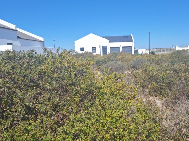 A view of a vacant residential plot covered in native coastal vegetation, with neighboring modern homes visible in the background.