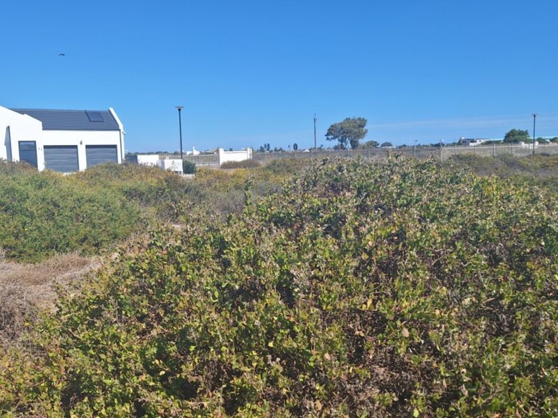 A vacant residential plot featuring native coastal vegetation, boundary fencing, and surrounding neighborhood infrastructure.