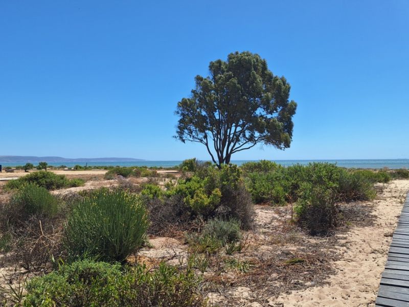 A scenic view of a coastal landscape featuring a wooden boardwalk leading towards the ocean, surrounded by natural vegetation.