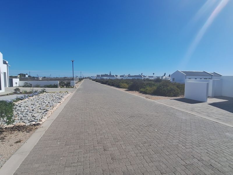 A clear street view of a residential estate featuring paved roads, modern white boundary walls, and well-maintained landscaping.