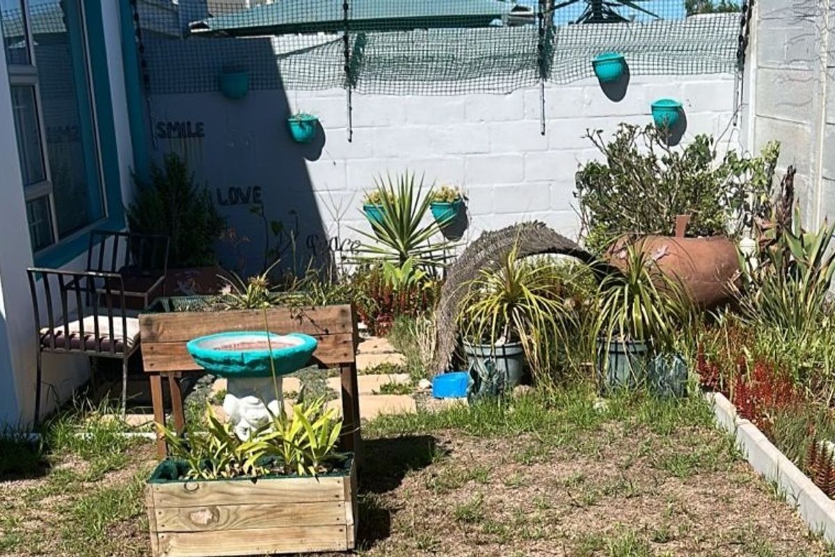 A compact rear garden area featuring a concrete block boundary wall with security fencing and a small paved pathway.