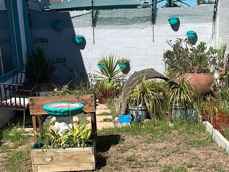 A compact rear garden area featuring a concrete block boundary wall with security fencing and a small paved pathway.