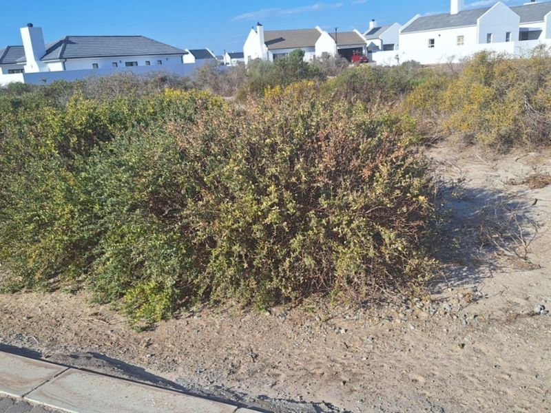 A view of a vacant residential plot featuring natural coastal vegetation and a paved verge, situated within a developed residential estate.