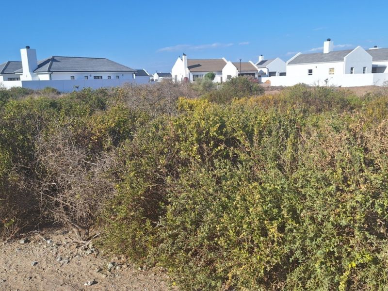 A vacant residential plot covered in native coastal vegetation, situated in a developed neighborhood with established white-walled homes in the background.