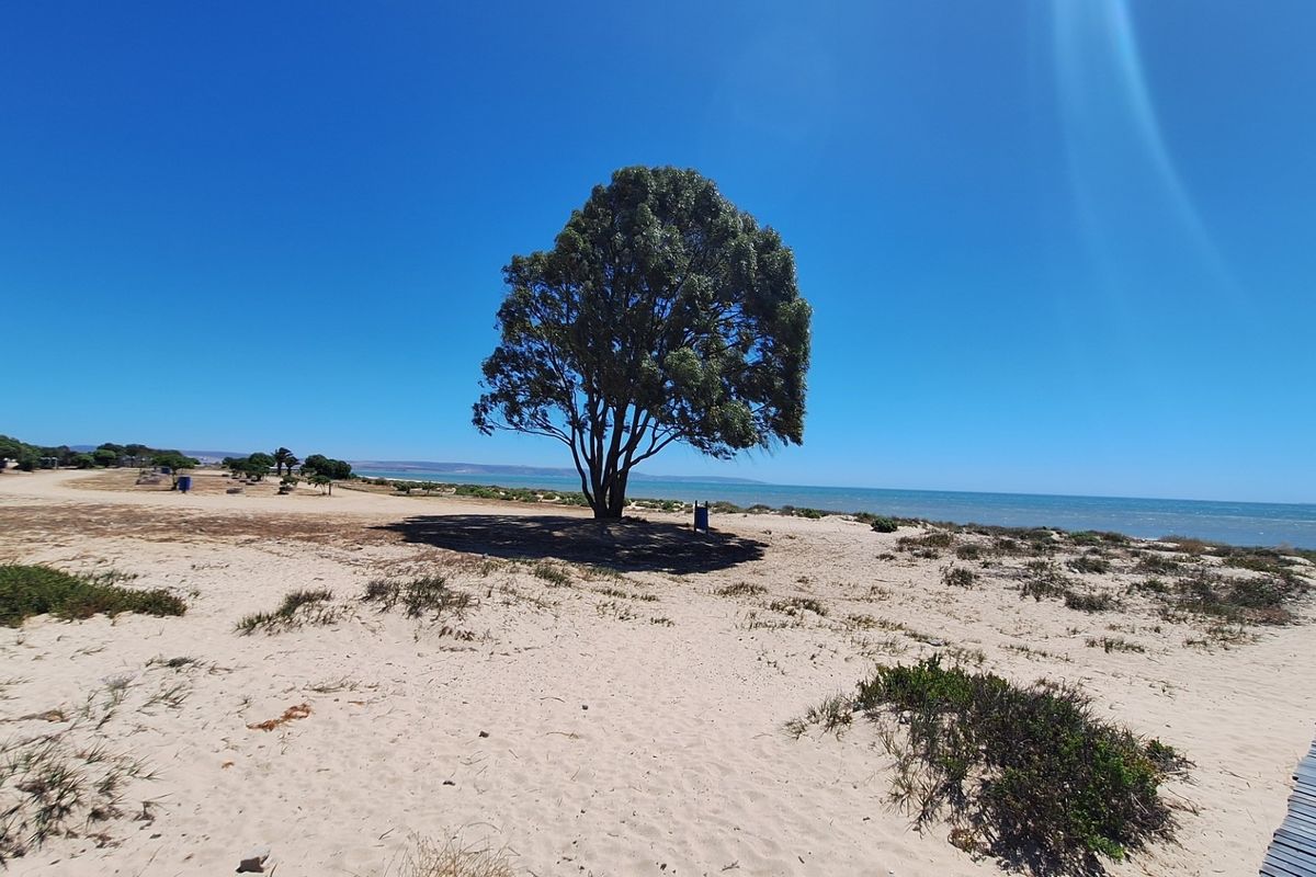 A scenic view of a coastal residential plot featuring sandy terrain, a mature tree, and a wooden boardwalk leading toward the ocean.