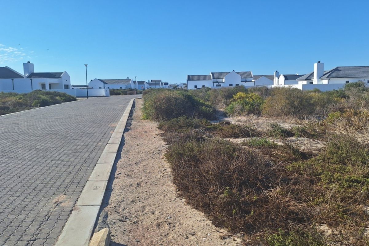 A view of a paved residential street with concrete curbing and street lighting, bordered by undeveloped land and surrounding residential properties.