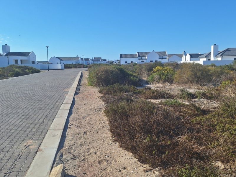 A view of a paved residential street with concrete curbing and street lighting, bordered by undeveloped land and surrounding residential properties.