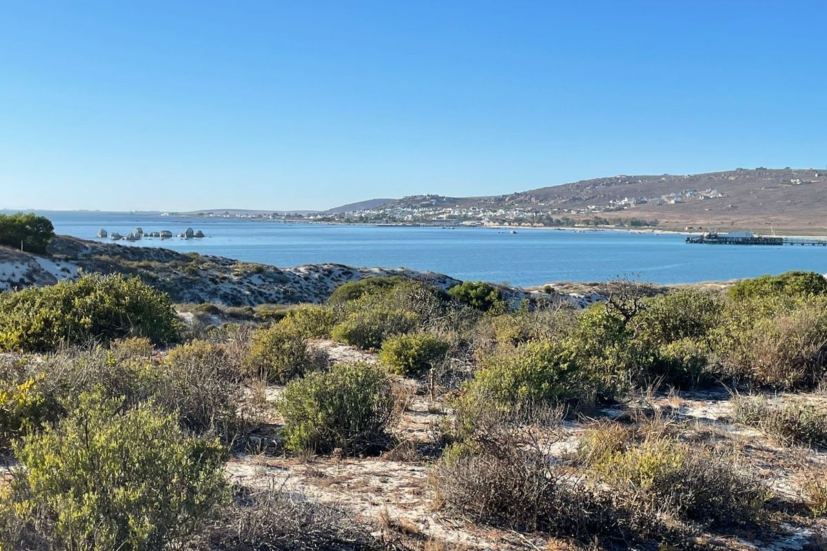 A scenic view of the coastal landscape, featuring natural vegetation and a clear outlook over the bay and distant hills.