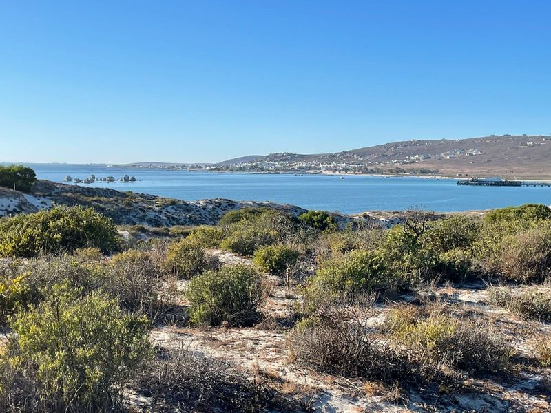 A scenic view of the coastal landscape, featuring natural vegetation and a clear outlook over the bay and distant hills.