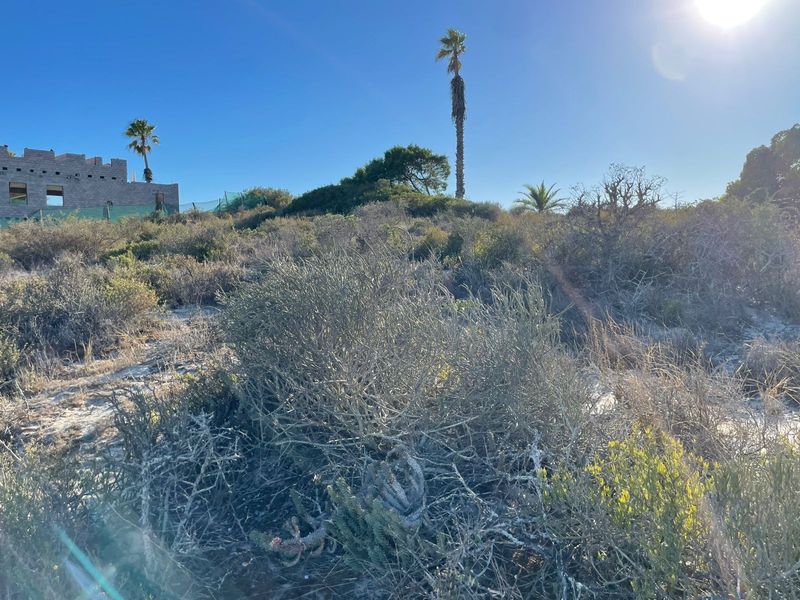 A view of a vacant residential plot featuring native coastal vegetation and an adjacent masonry structure under construction.