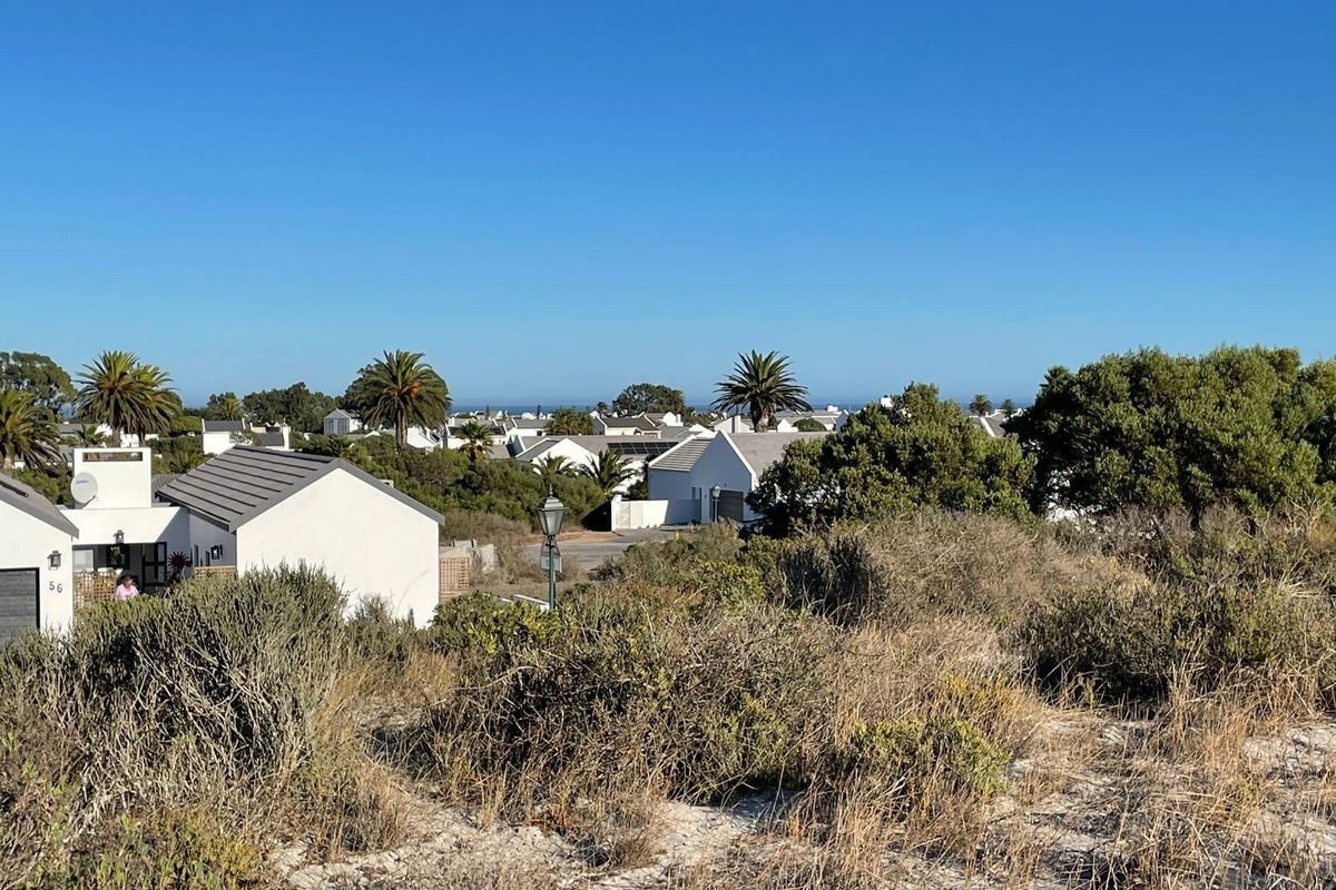 A scenic view overlooking a residential neighborhood with coastal vegetation in the foreground and clear blue skies.