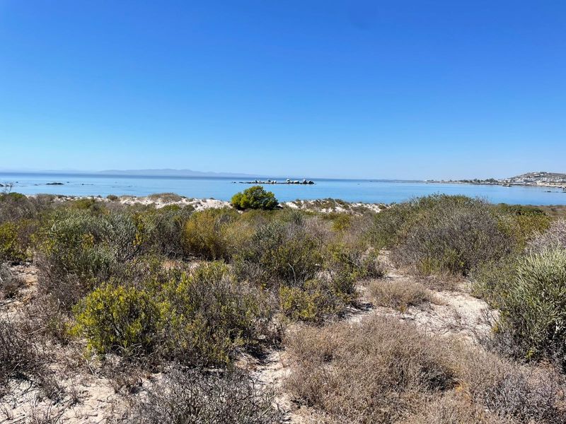 A scenic view of the coastline featuring native coastal vegetation, sandy dunes, and clear ocean waters under a bright blue sky.