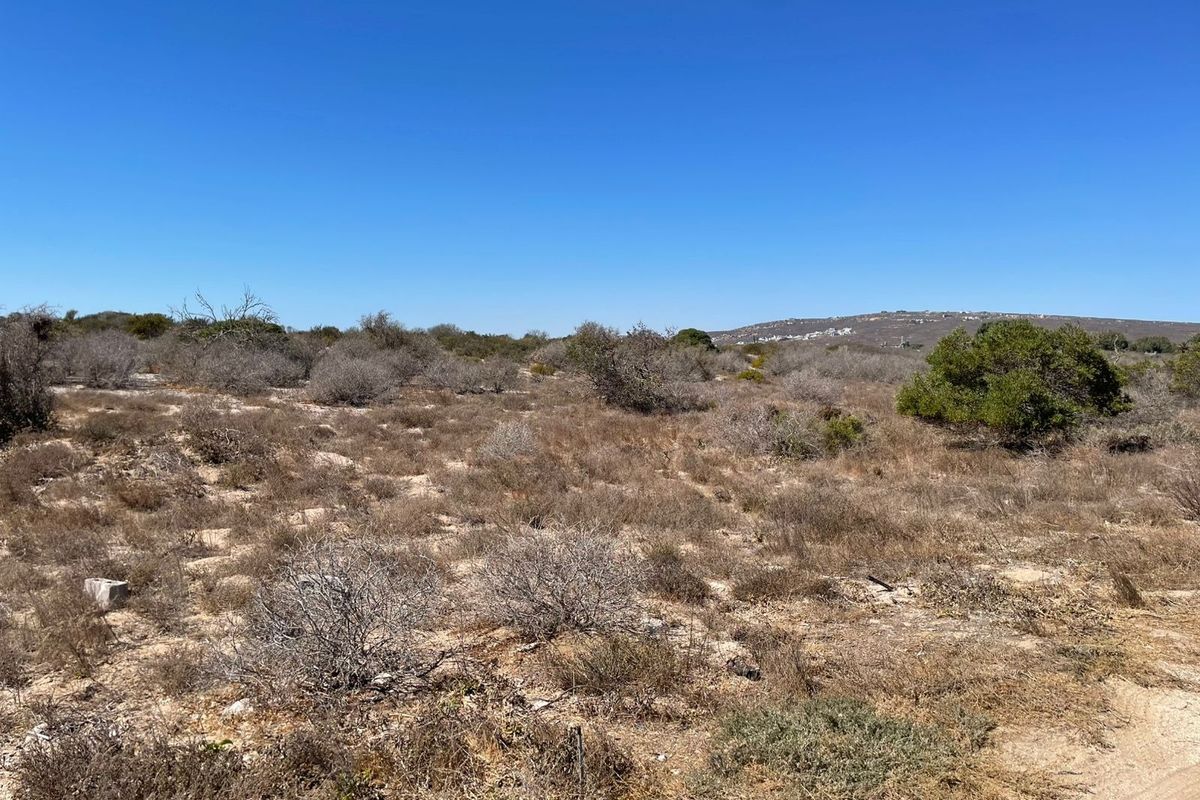 A view of the vacant residential land featuring natural vegetation and open terrain under a clear blue sky.