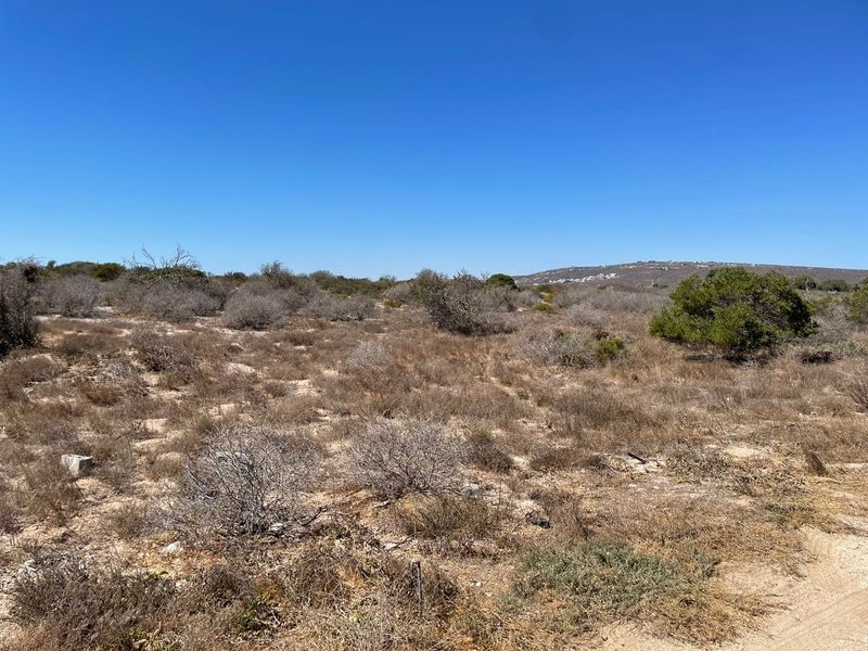 A view of the vacant residential land featuring natural vegetation and open terrain under a clear blue sky.