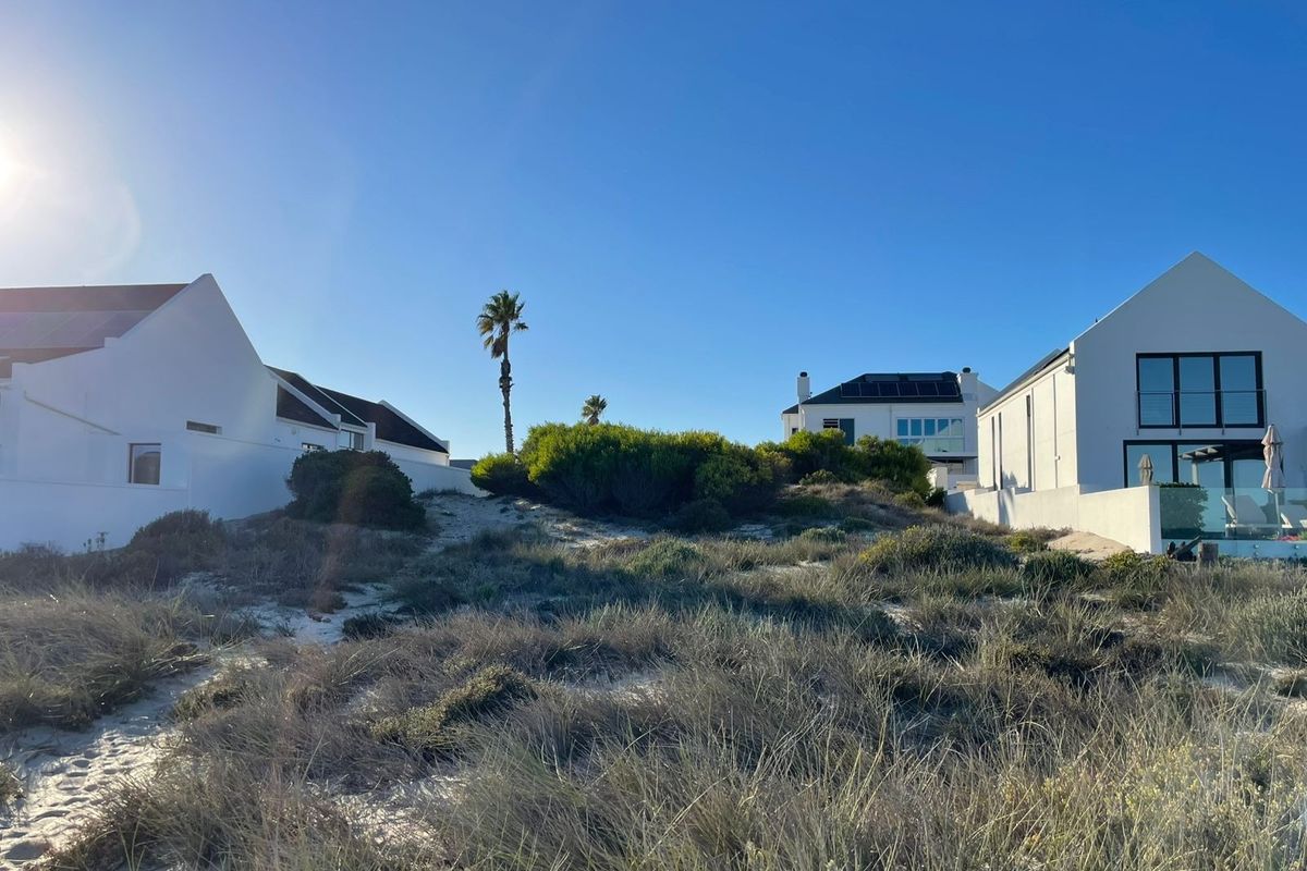 A view of the rear of residential properties situated behind natural coastal sand dunes and native vegetation.