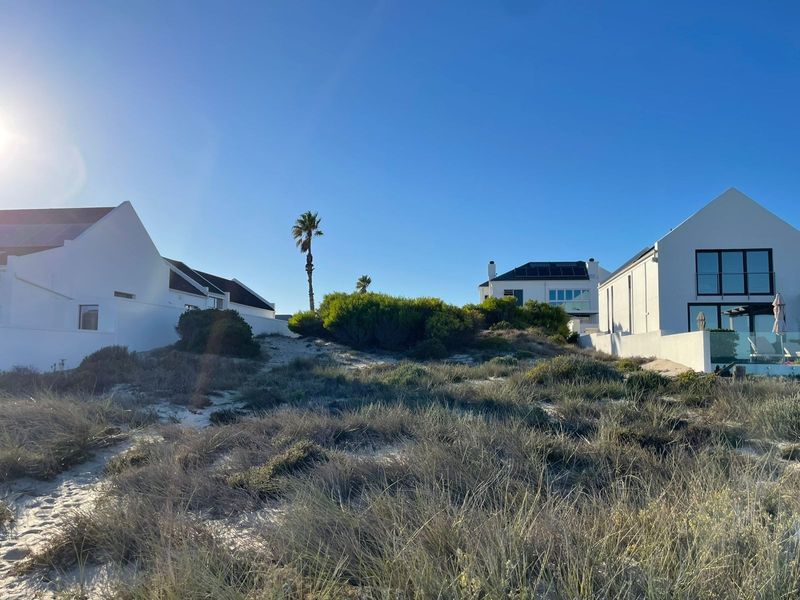 A view of the rear of residential properties situated behind natural coastal sand dunes and native vegetation.