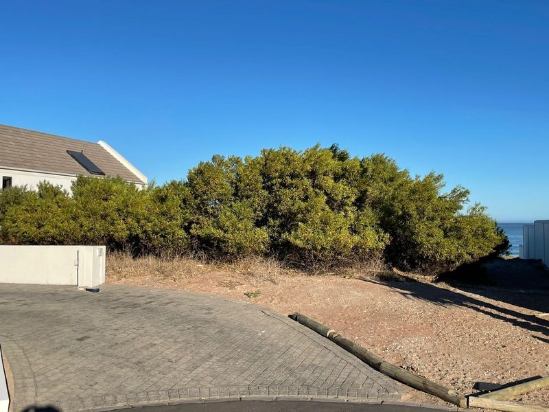 Front view of a residential property featuring a paved driveway, boundary wall, and established coastal vegetation with a glimpse of the ocean.