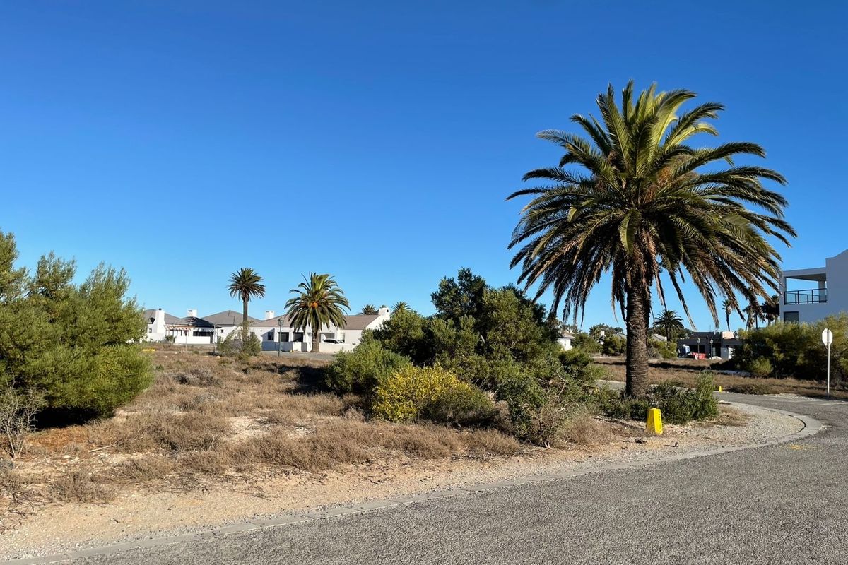 A street-level view of a vacant residential plot featuring established palm trees and native vegetation, situated in a developed neighborhood.