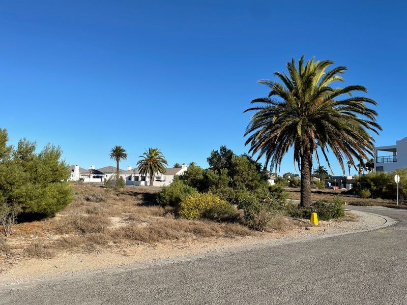 A street-level view of a vacant residential plot featuring established palm trees and native vegetation, situated in a developed neighborhood.