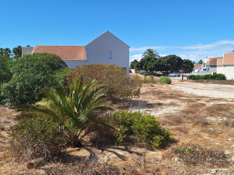 A view of a vacant residential plot featuring established shrubs and a palm tree, situated in a developed neighborhood setting.