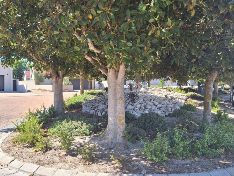 A well-maintained residential garden area featuring mature trees, a landscaped rock bed, and paved driveway access within a residential estate.
