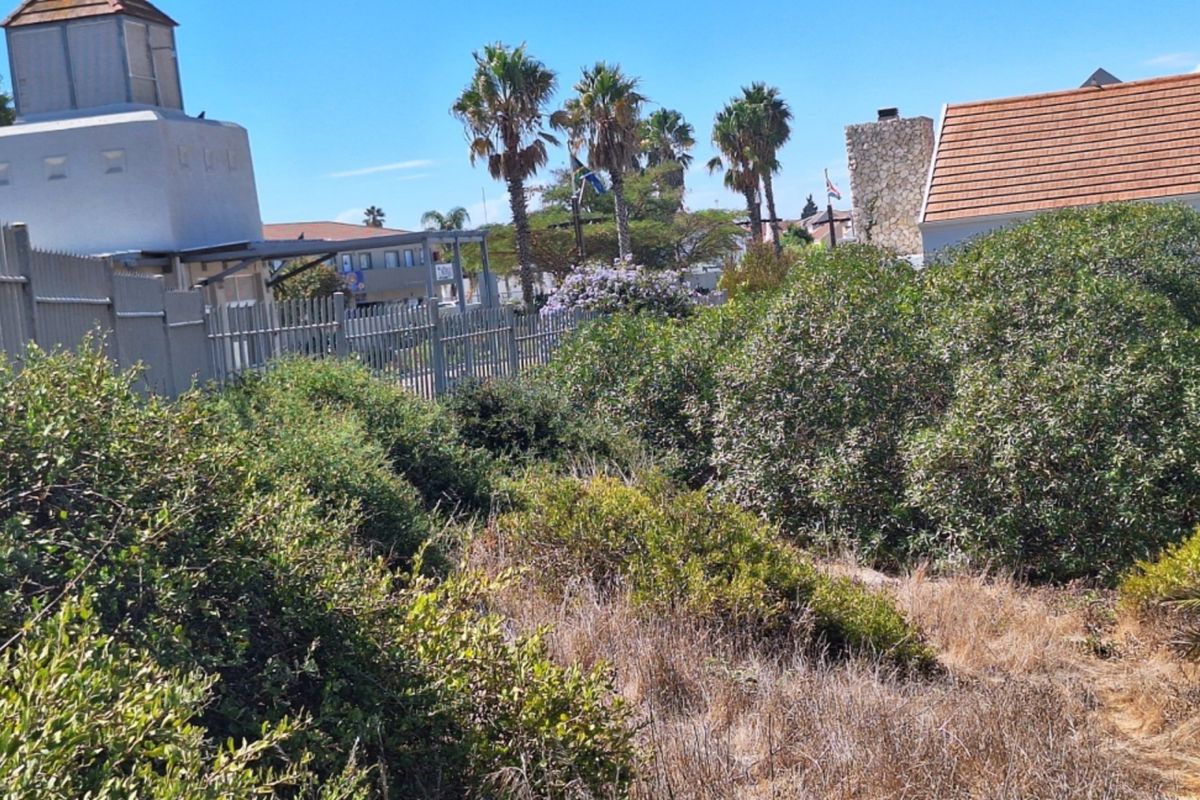 A view of a residential plot featuring established garden vegetation, mature palm trees, and perimeter metal fencing.