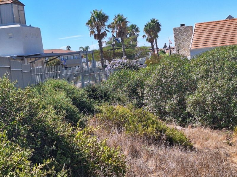 A view of a residential plot featuring established garden vegetation, mature palm trees, and perimeter metal fencing.
