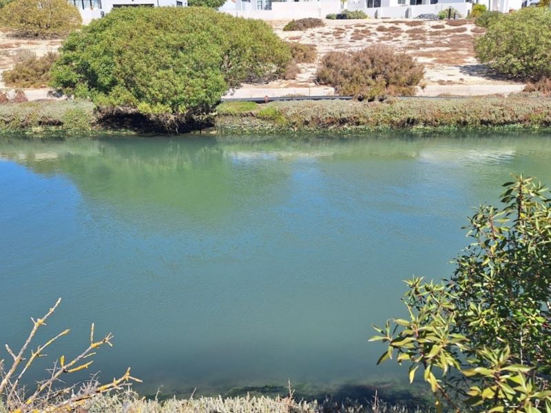 A scenic view of a tranquil waterway bordered by natural vegetation and landscaping, highlighting the peaceful outdoor environment of the property.