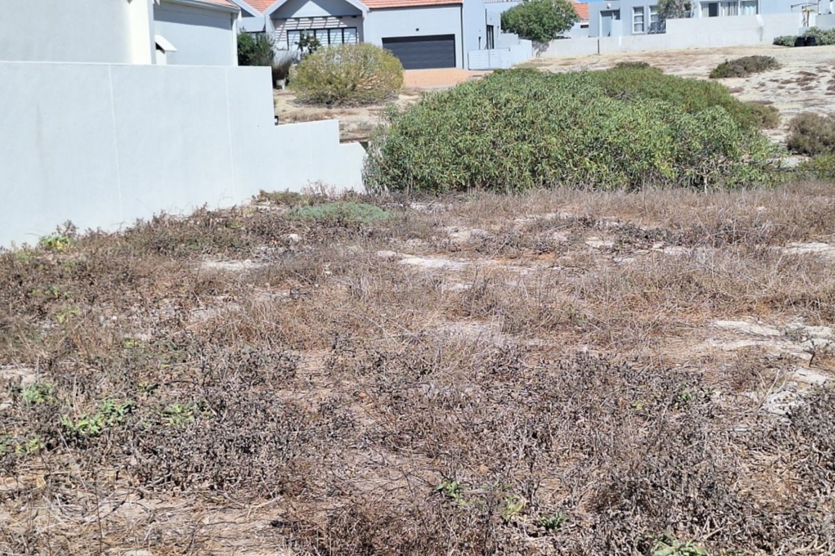 A vacant residential plot featuring natural vegetation and a boundary wall, situated in a developed neighborhood.