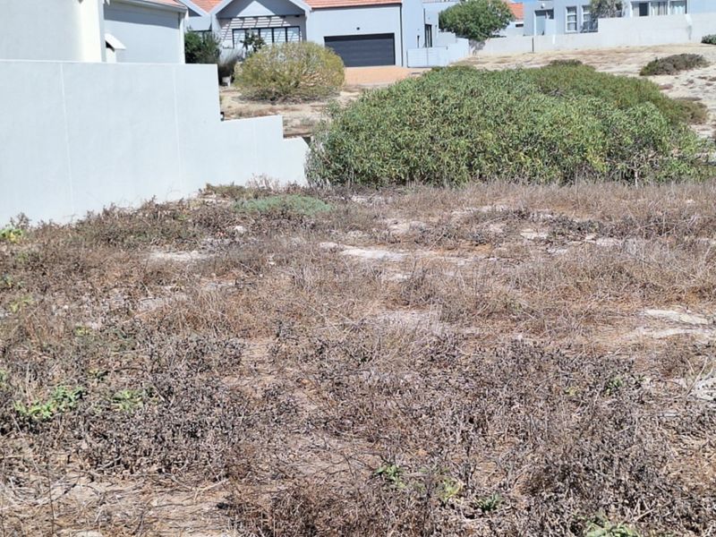 A vacant residential plot featuring natural vegetation and a boundary wall, situated in a developed neighborhood.
