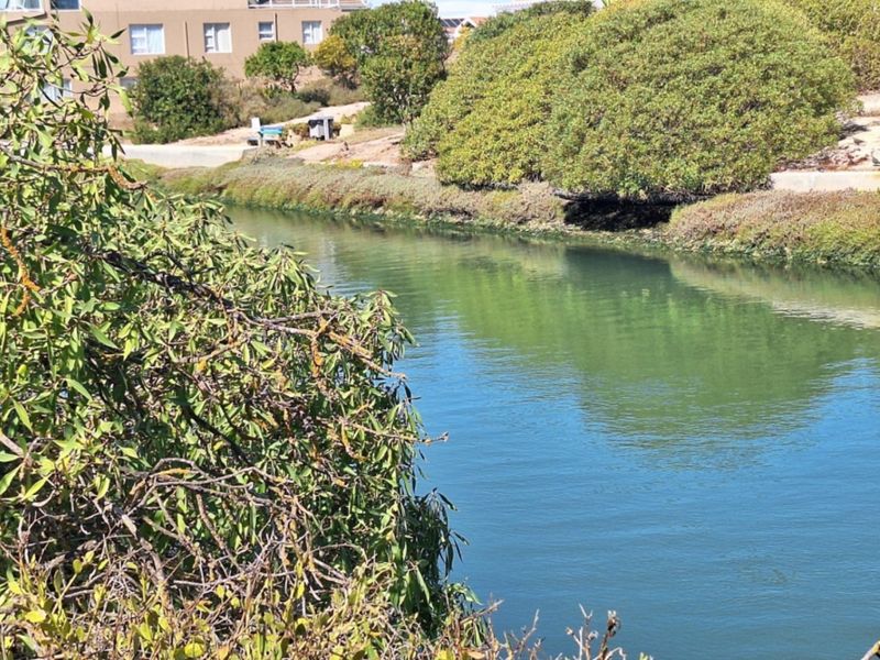 A scenic view of a natural waterway bordered by established coastal vegetation and nearby residential buildings.