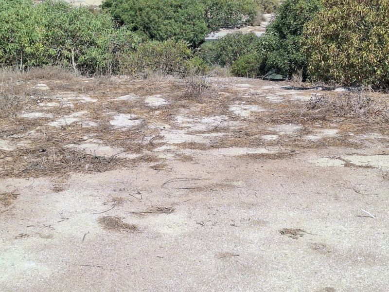 A view of the natural, undeveloped land featuring native vegetation and open terrain, suitable for residential development.