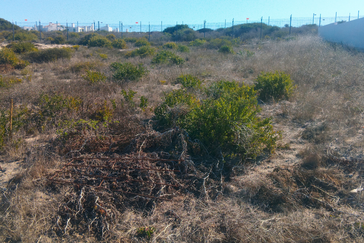 A vacant residential plot featuring natural coastal vegetation, perimeter fencing, and a boundary wall, offering a blank canvas for future development.