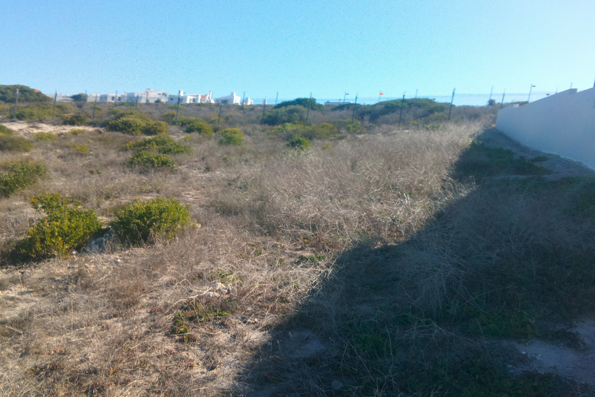 A vacant residential plot featuring natural vegetation, perimeter fencing, and a side retaining wall, offering potential for future development.