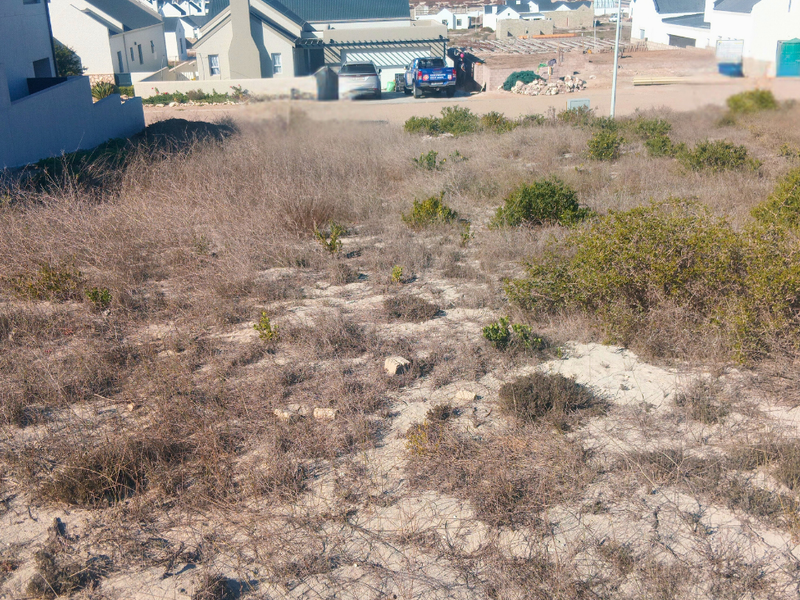 A vacant residential plot featuring sandy soil and native coastal vegetation, situated in a developed neighborhood setting.