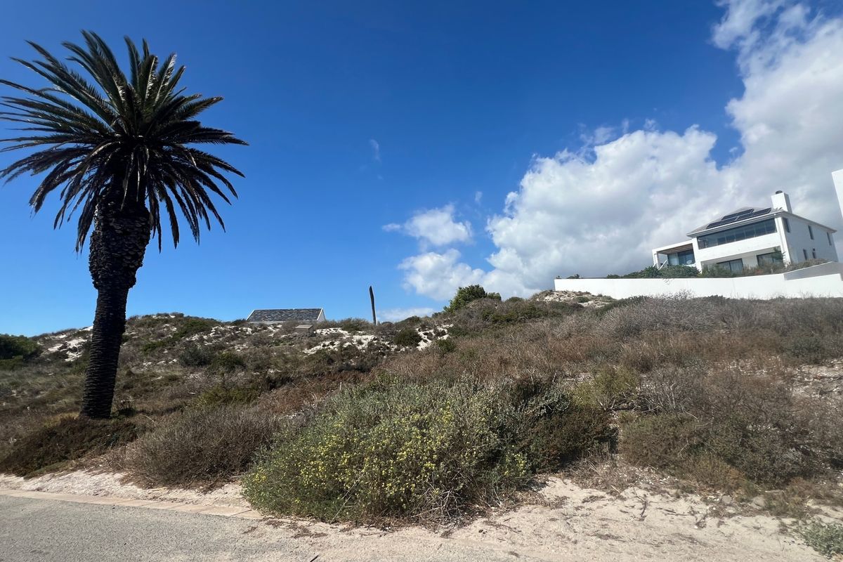 A view of a vacant residential plot featuring natural coastal vegetation and a prominent palm tree, situated in a developed neighborhood.