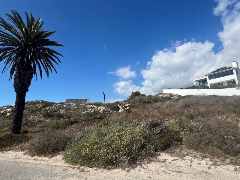 A view of a vacant residential plot featuring natural coastal vegetation and a prominent palm tree, situated in a developed neighborhood.